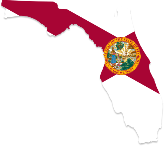 Importance of a Vehicle Title Check in Florida