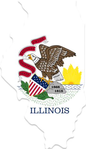 Importance of a Vehicle Title Check in Illinois
