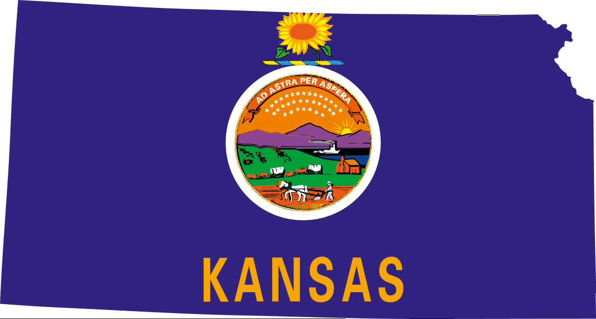 Vehicle Title Check in Kansas