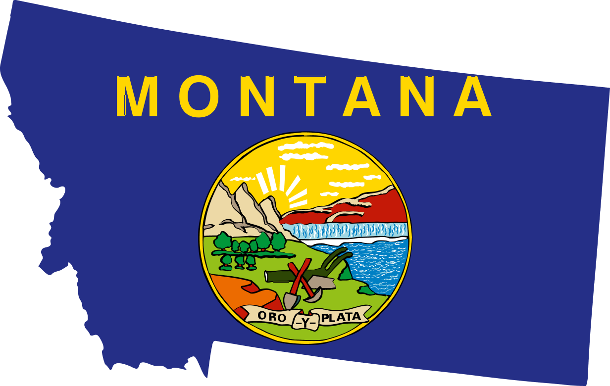 Vehicle Title Check in Montana