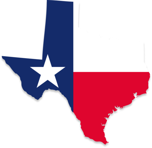 Vehicle Title Check in Texas